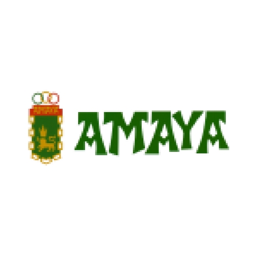 Lee más sobre el artículo Ciudad Deportiva Amaya – Absoluto Femenino